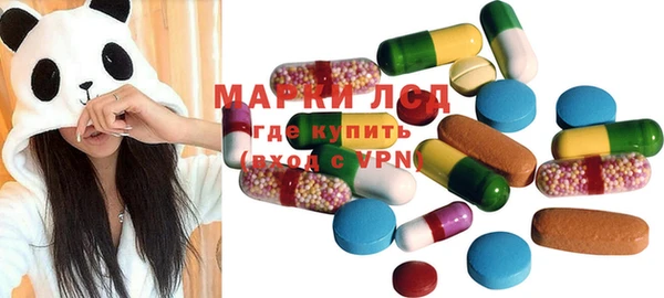 молекула духа Елабуга