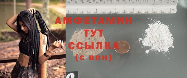 молекула духа Елабуга