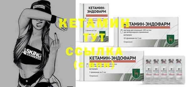 метадон Ельня