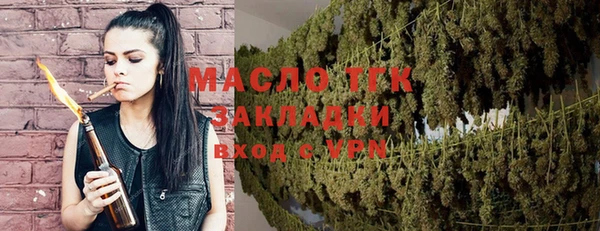 молекула духа Елабуга