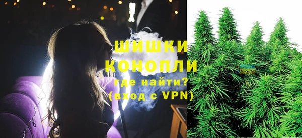 дживик Нея
