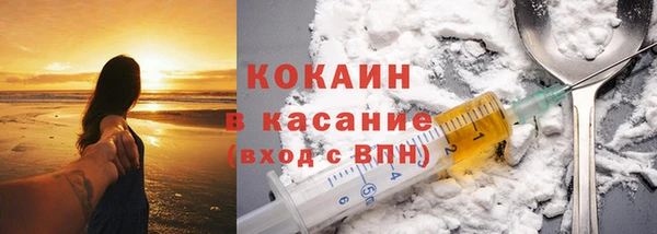 молекула духа Новозыбков